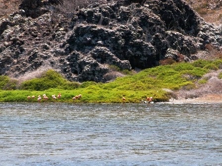 Khám phá quần đảo núi lửa Galapagos - 6 Khám phá quần đảo núi lửa Galapagos
